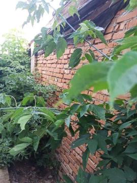 Гаражи, Бузулук